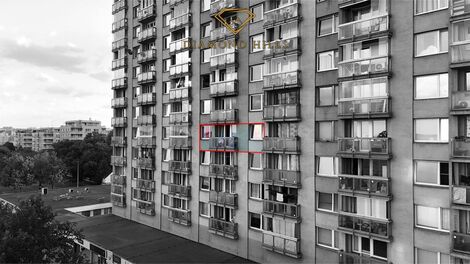 foto02_11535505_1ku6t4.jpg