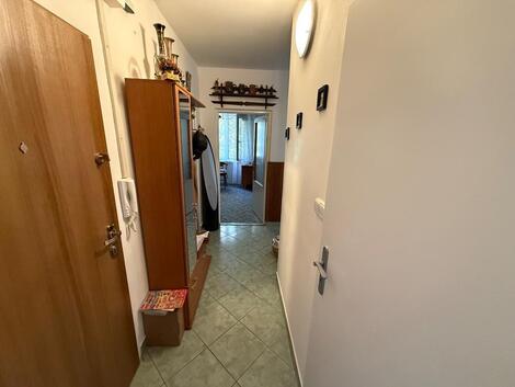 foto02_11526375_onya4.jpg