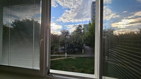 foto02_11565134_1ek3x4.jpg
