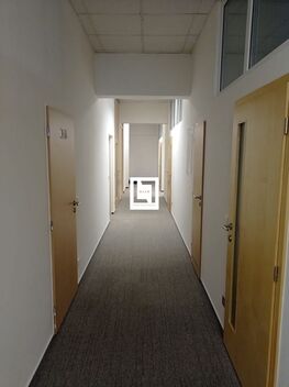 foto02_11469469_9l3aw.jpg