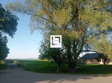 foto02_11488216_1gx2n0.jpg