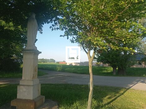 foto02_11488216_w8ksc.jpg