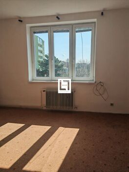 foto02_11505554_eyvds.jpg