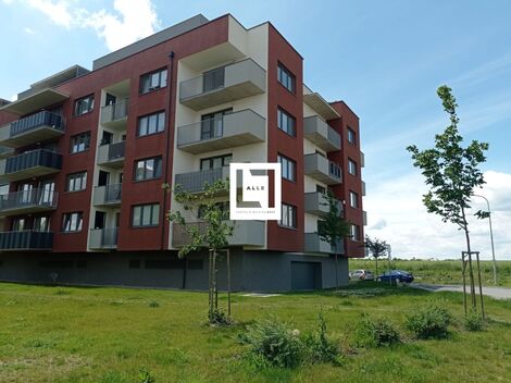 foto02_11566460_kaaa0.jpg