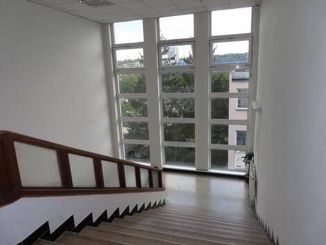 foto02_11483482_b9zqo.jpg