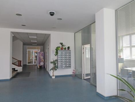 foto02_11483482_pwkrg.jpg
