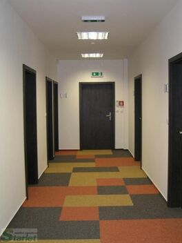 foto02_11541624_1kb1rk.jpg