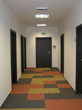 foto02_11546713_17jzdk.jpg