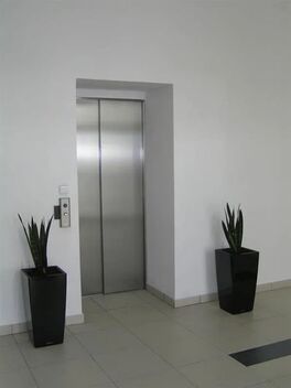 foto02_11554766_pijz8.jpg