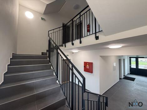 foto02_11542629_4xfyo.jpg