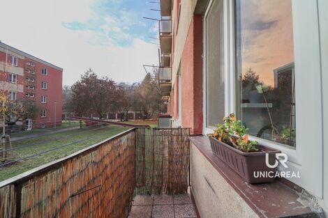 foto02_11458313_zxeqc.jpg