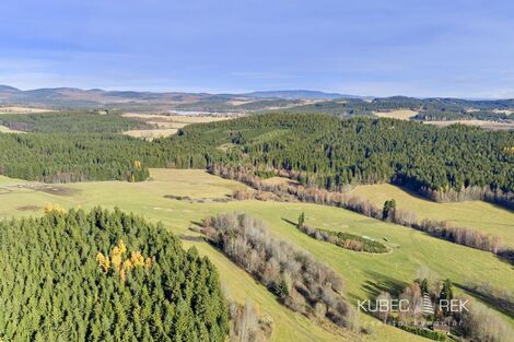 foto02_11419969_jnp08.jpg