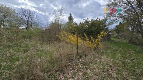 foto02_11482780_19hqn4.jpg