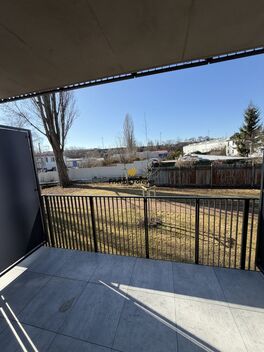 foto02_11459105_v0ez0.jpg
