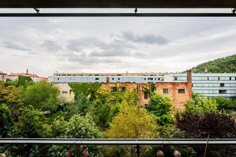 foto02_11559641_hdrs0.jpg