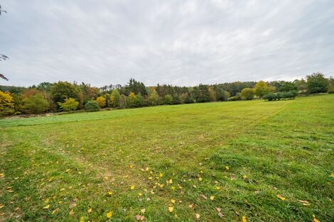 foto02_11566972_1lfkeo.jpg