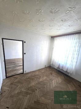 foto02_11490731_dgzc4.jpg