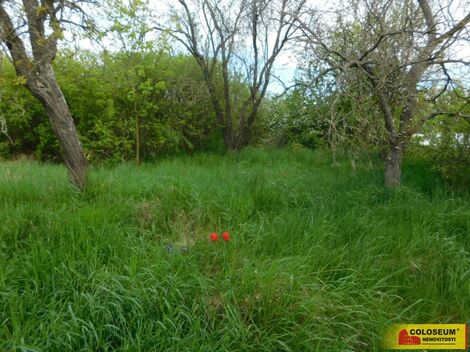 foto02_10320267_1m94ls.jpg