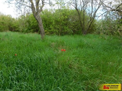 foto02_10320267_gkdzg.jpg