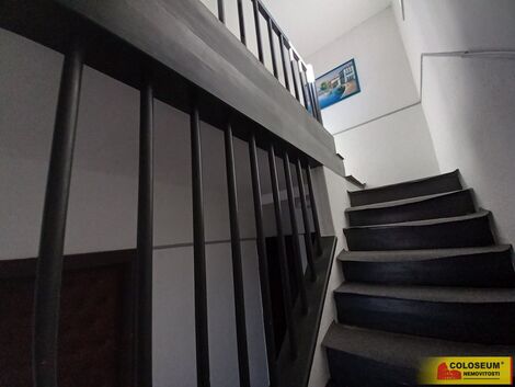foto02_11313948_17nbfs.jpg