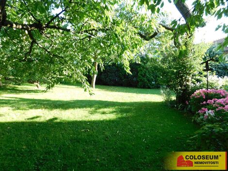 foto02_11353289_cocuw.jpg