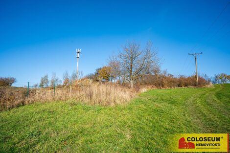 foto02_11364368_3d6yo.jpg