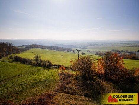 foto02_11364368_w5jj0.jpg