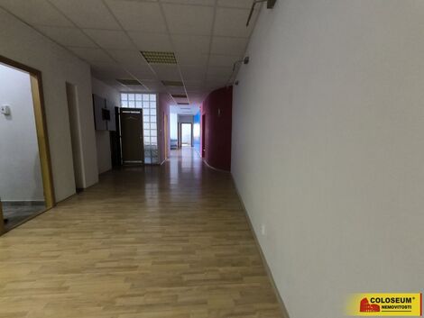 foto02_11381497_o8mqk.jpg
