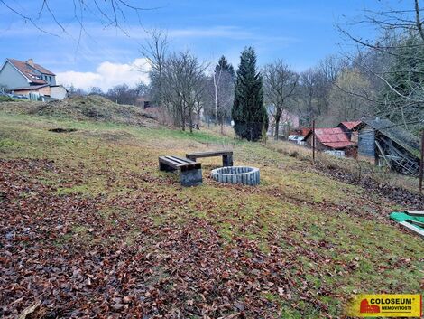 foto02_11436257_cqxj0.jpg