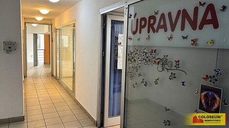 foto02_11474920_9kwl8.jpg