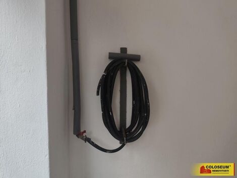 foto02_11477489_c8dh0.jpg