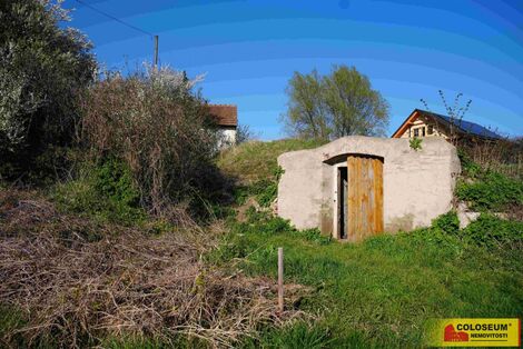 foto02_11483484_z3x8g.jpg