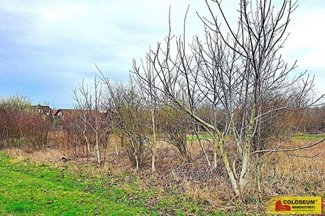 foto02_11486213_i5cr8.jpg
