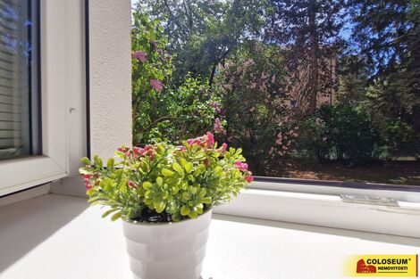 foto02_11492846_tcrac.jpg