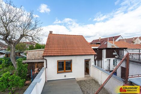 foto02_11497189_14dk34.jpg