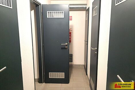 foto02_11501940_1ajyyc.jpg