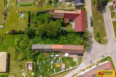 foto02_11512535_bwej4.jpg