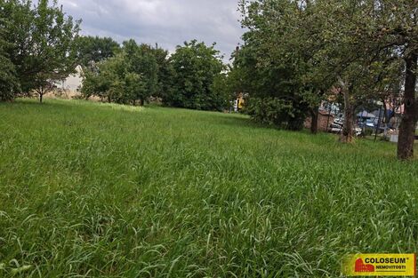 foto02_11543116_znsz4.jpg