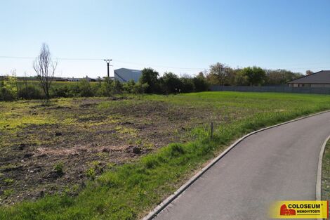 foto02_11549634_1cw5tg.jpg