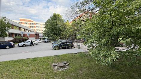 foto02_11500725_7rmtk.jpg