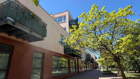 foto02_11504745_w7yy8.jpg