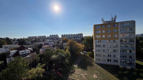 foto02_11563682_1g5ue4.jpg