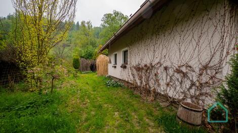 foto02_11338300_xean0.jpg