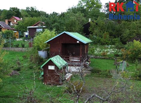 foto02_11555403_zjmfo.jpg