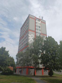foto02_11381498_b5xzg.jpg