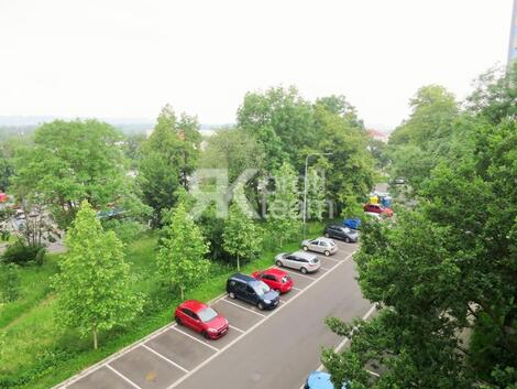 foto02_11382614_byb4k.jpg