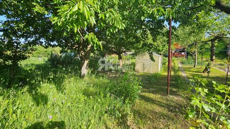 foto02_11504749_owy4g.jpg