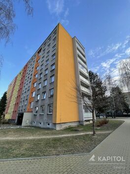 foto02_11463907_gyfdw.jpg