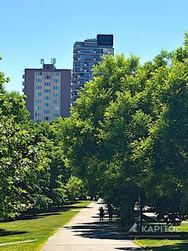 foto02_11508193_1du6w8.jpg