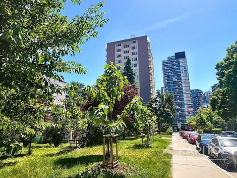foto02_11508193_3ohg0.jpg